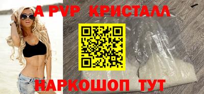 СК Волгодонск