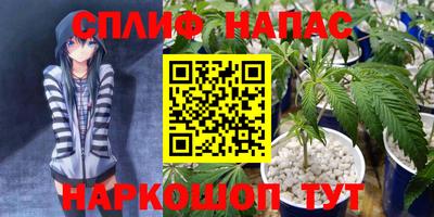 СК Волгодонск