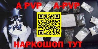 СК Волгодонск