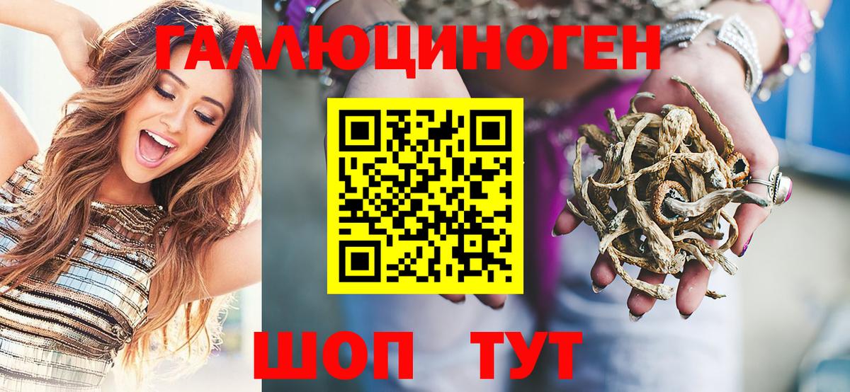 Назрань  Псилоцибиновые грибы прущие грибы  Вход с VPN 